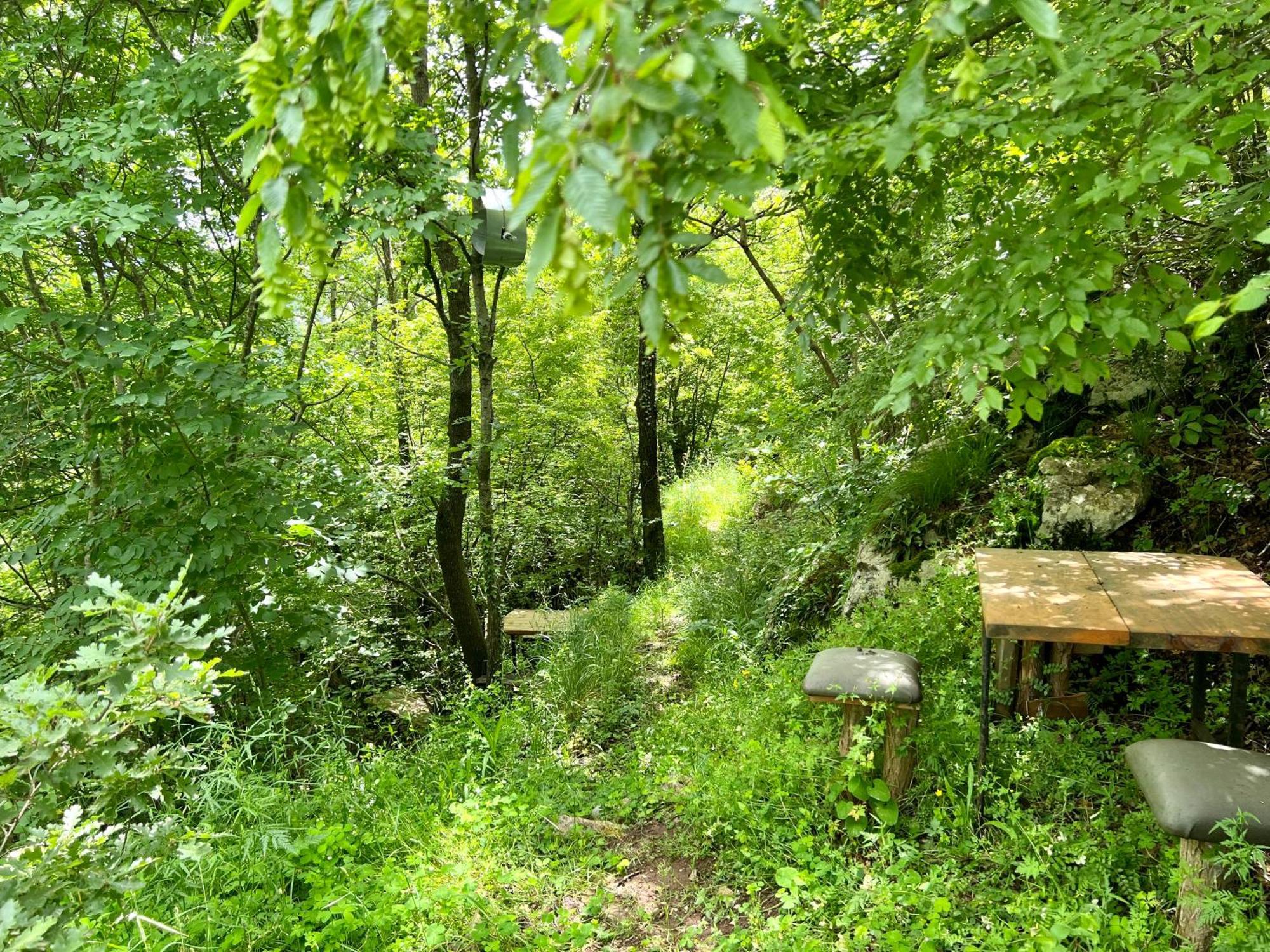Baven -toven Naturae *
